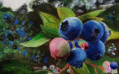 Course Work: Andrea’s blue Berries